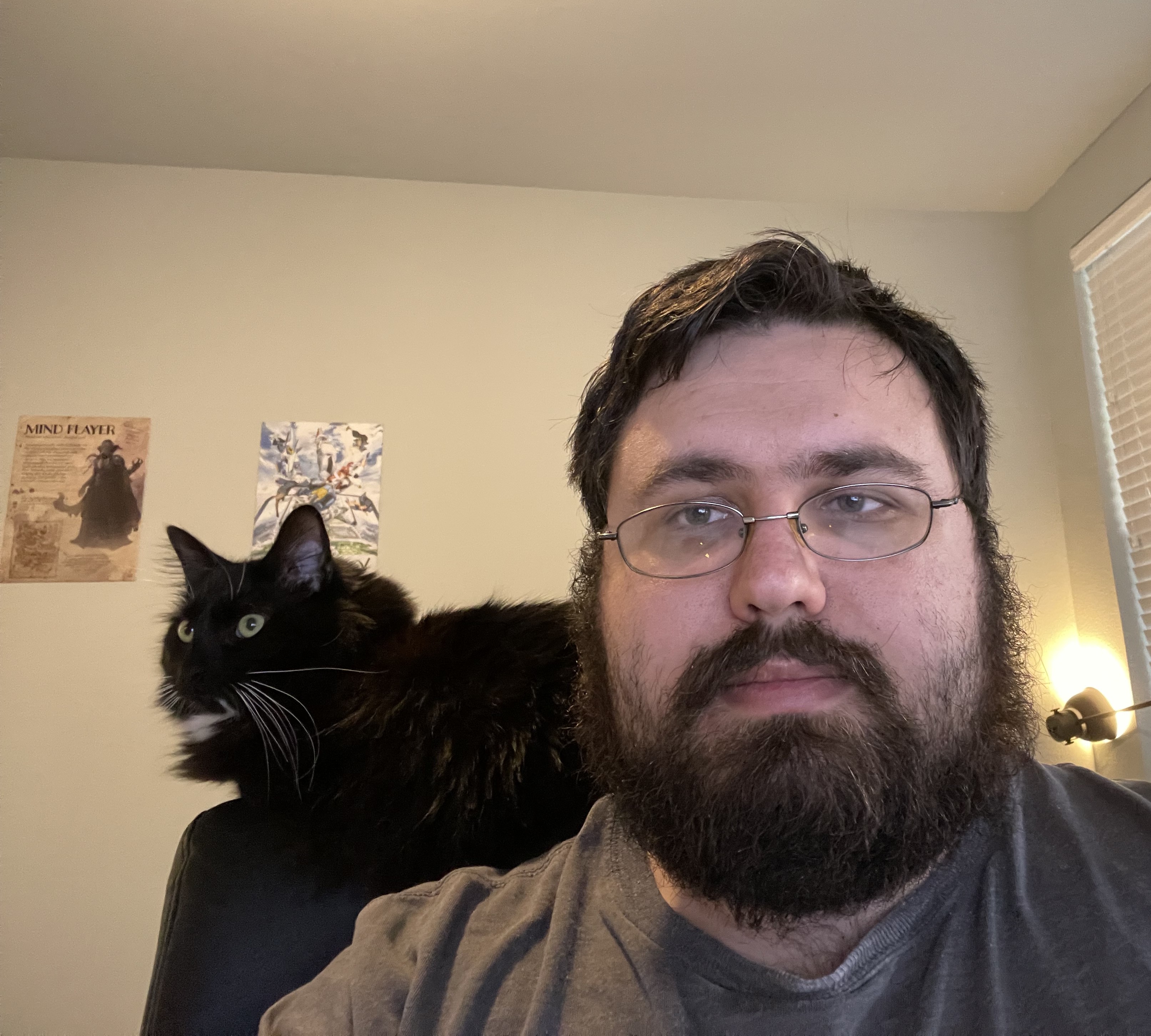 Spot on the chair